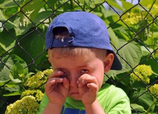 Dziecko pogryzione przez psa