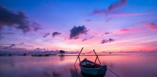 Jaki kolor kuchni w 2023 roku?