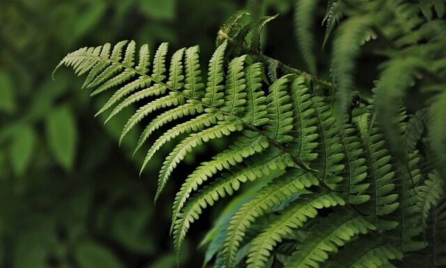 Kto skupuje rzeczy z PRL? Kto skupuje rzeczy z PRL?