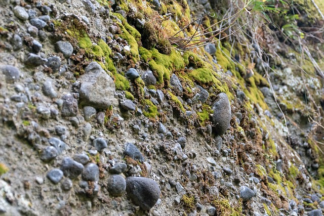 Czy konglomerat się rysuje? Czy konglomerat się rysuje?