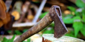 Czym się rożni Drwal od Pilarza?