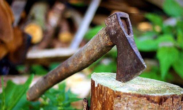 Czym się rożni Drwal od Pilarza? Czym się rożni Drwal od Pilarza?