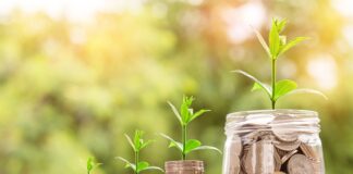 Na co jest zapotrzebowanie na rynku 2023?