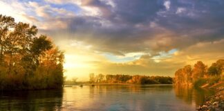 Jakie 3 kolory do siebie pasują?