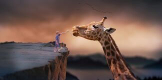 Czy da się żyć z fotografii?