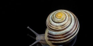 Czy można przerobić zwykle drzwi na drzwi przesuwne?