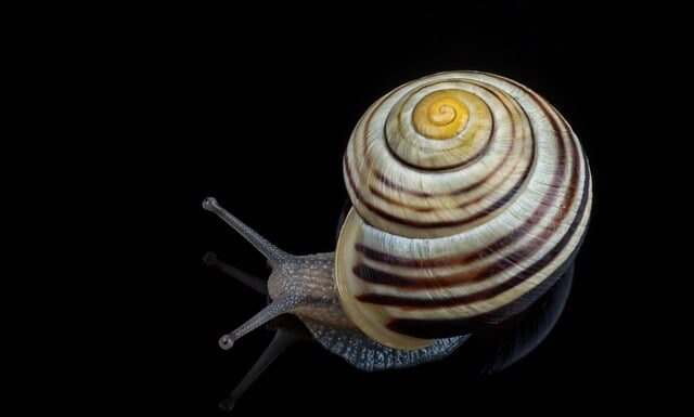 Czy można przerobić zwykle drzwi na drzwi przesuwne? Czy można przerobić zwykle drzwi na drzwi przesuwne?