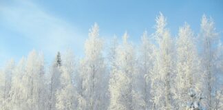 Jakie są minusy pracy w grupie?