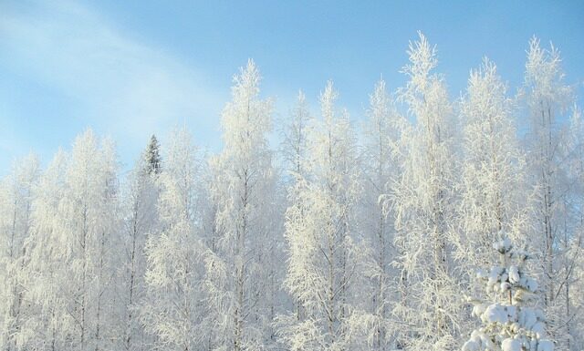 Jakie są minusy pracy w grupie?