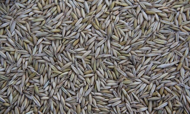 Kto produkuje fronty dla IKEA?