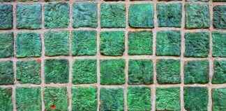 Co zamiast płytek nad zlewem w kuchni?