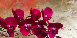 Co daje premium ChatGPT?