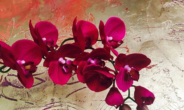 Co daje premium ChatGPT?