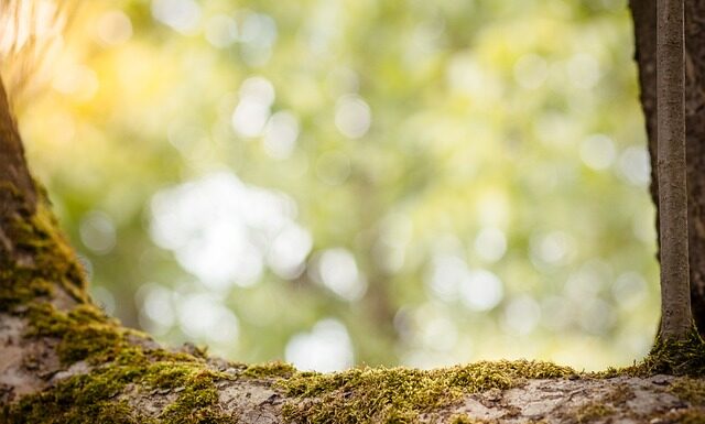 Czy raty wpływają na zdolność kredytową?