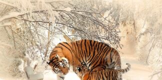 Czy można łączyć mat z połyskiem?