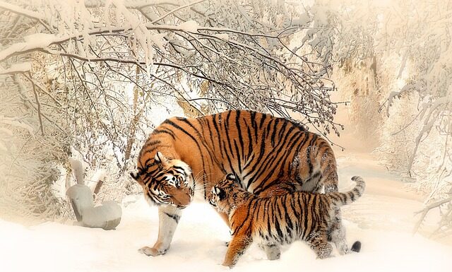 Czy można łączyć mat z połyskiem?