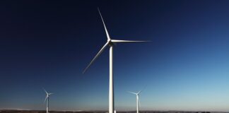 Jak generować obrazy AI za darmo?