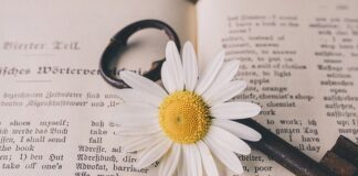 Czy chat GPT dobrze tłumaczy?