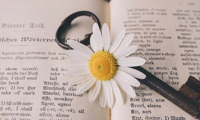 Czy chat GPT dobrze tłumaczy? Czy chat GPT dobrze tłumaczy?