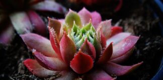 Jakiej grubości fronty?