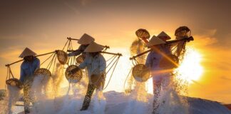 W których województwach występuje największa produkcja mebli?