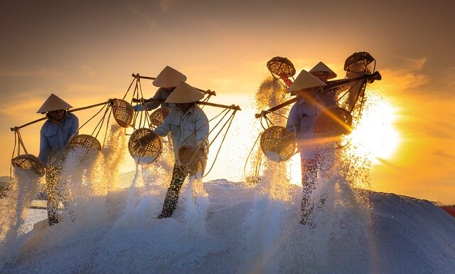 W których województwach występuje największa produkcja mebli? W których województwach występuje największa produkcja mebli?