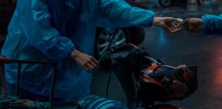 Ile razy dzwoni kurier?