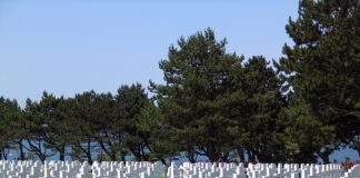 Ile kosztuje złożenie łóżka IKEA?