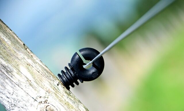 Ile Polaków zarabia 20 tys?