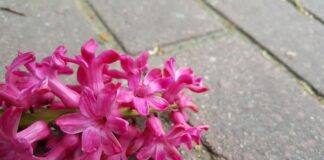 Jak działa Dalle 2?