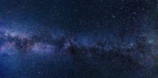 Co to jest system samo uczący?