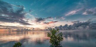 Ile czeka się na narożnik z Agata Meble?