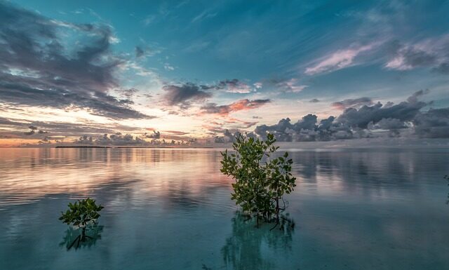 Ile czeka się na narożnik z Agata Meble?