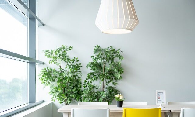 Czy Ikea jest w Stanach Zjednoczonych? Czy Ikea jest w Stanach Zjednoczonych?