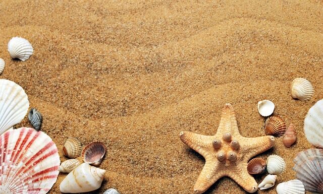 Czy każda muszla pasuje do stelaża? Czy każda muszla pasuje do stelaża?