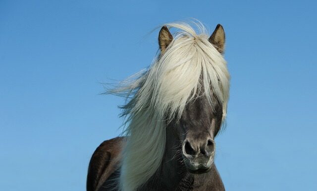 Czy można kuć w ścianie nośnej?