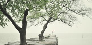 Z jakiej płyty zrobić łóżko?