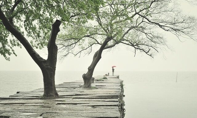 Z jakiej płyty zrobić łóżko? Z jakiej płyty zrobić łóżko?