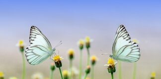 Co będzie modne w 2023 wiosna?