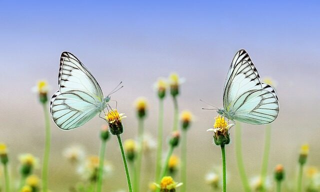 Co będzie modne w 2023 wiosna? Co będzie modne w 2023 wiosna?