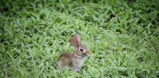 Dlaczego odbija przy tankowaniu?