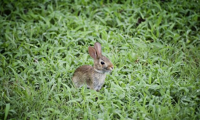 Dlaczego odbija przy tankowaniu? Dlaczego odbija przy tankowaniu?