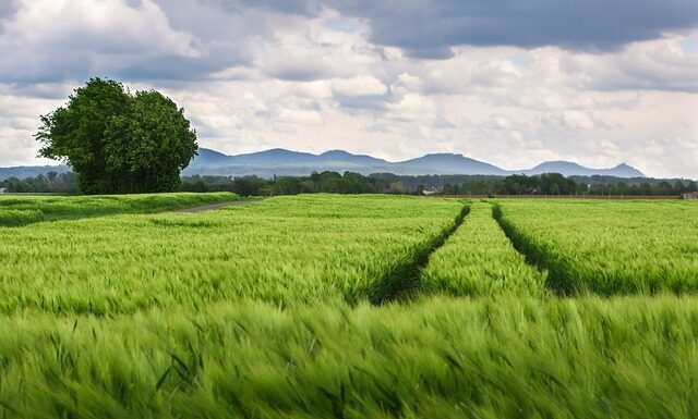 Co to jest rozstaw klamki? Co to jest rozstaw klamki?