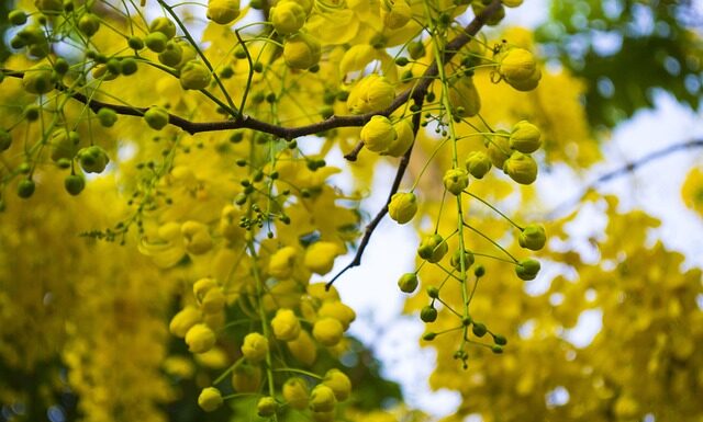 Jak sprawdzić przedmuchy w silniku diesla?