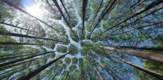 Jak zrobić daszek nad drzwiami?