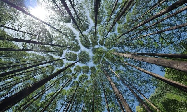 Jak zrobić daszek nad drzwiami?