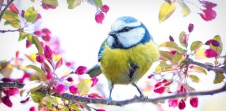 Co oznacza żółty nalot na korku wlewu oleju?