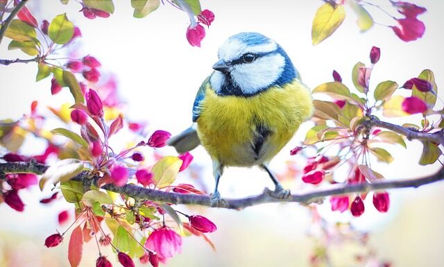Co oznacza żółty nalot na korku wlewu oleju? Co oznacza żółty nalot na korku wlewu oleju?