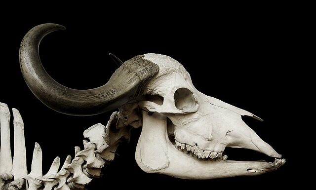 Ile decybeli ma klakson w pociągu? Ile decybeli ma klakson w pociągu?