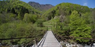 Ile kosztuje skrócenie drzwi?